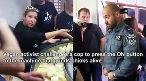 2.3M views · 44K shares | Amazing video: activists in Israel broke...