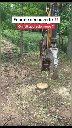 Énorme découverte surprenante dans le jardin