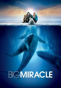 Big Miracle - movie: where to watch streaming online