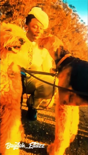 COOKIE JAR (Tyler, The Creator edit) #fypシ #edit #rapper #edits #musician #tylerthecreator #rap