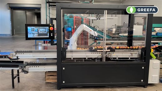 GREEFA iPACKR packing robot for apples