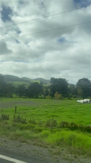 Spent the day in Hahei with our longtime mates Cathedral Cove Kayaks and Hahei Explorer Cathedral Cove Boat Tour - easily one of the best ways to see this slice of the Coromandel 🌊🛶 You can book both tours through the Kiwi Trip Planner if you're overnighting in Hahei and works for both Hop-On-Hop-Off and Small Group Tours. Wrap it up with a night at Hot Water Beach, beers in hand, feet in the sand 🍻 #KiwiExperience #HaheiExplorer #CathedralCoveKayaks #HotWaterBeach #KiwiBus #BackpackNZ" | Kiw