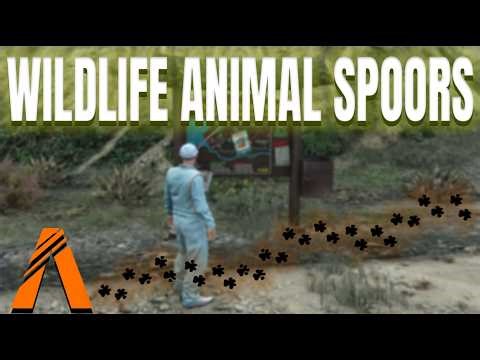 GTA V FiveM Wildlife Spoors Script (2026) | Full Control • Standalone • ESX/QBCore