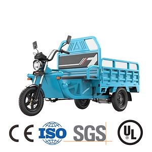 [Hot Item] Cool 48V 800W Cargo E Trike Price