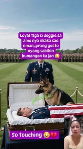 2M views · 49K reactions | Man's bestfriend tlga  #credittotherightfulownerofthisvideo #remix #remix #remixreelsvideo #reelsviralシ #fypシ゚viralシ #viralreelsシ #fbreels #fypviralシ #fypシ #trend #trsndingreels #cat #catlover #petlovers #catoftheday #followersreels #followerpage #everyoneシ゚ | ghelaii | Facebook