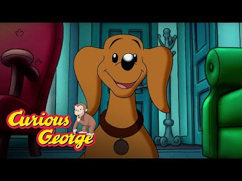 Weiner Dog 🐵 Curious George 🐵Kids Cartoon 🐵 Kids Movies 🐵Videos for Kids