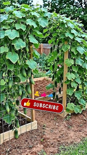 Grow Cucumbers in Wooden Tower | Easy Vertical Gardening Idea#cucumber #growcucumbers #verticalgarde