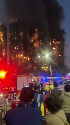 Hong Kong 2025 TDFC #tdfc #高分纪录片