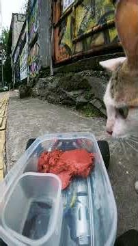 Lagi Jalan Sendiri, Ternyata Lagi Lari Makan