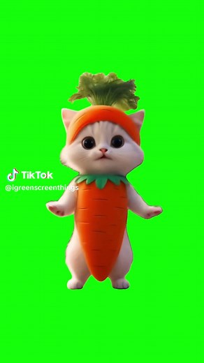 AI Cat Dance Green Screen Compilation