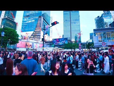 Walking tour in Shibuya & Shinjuku. Tokyo, Japan.
