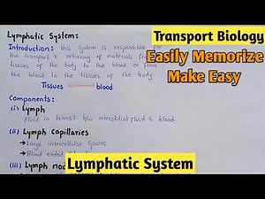 Lymphatic System | Lypmh | Class 11 Biology