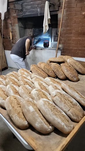 Aventures Intérieures • Hébergements Insolites • Camping • Sauna on Instagram: "Pour nous 2026 rime avec nouvelle aventure ! Faire du pain régulièrement dans le four à bois communal de notre petit village de Coaraze dans l'arrière pays Niçois. Mika en avait déjà fait les années précédentes lors de diverses manifestations. Après quelques stages, - rencontres avec la mairie, - 1 an de travail pour obtenir son CAP boulanger par VAE, - des travaux de mise aux normes dans le four, - 1 signature de co