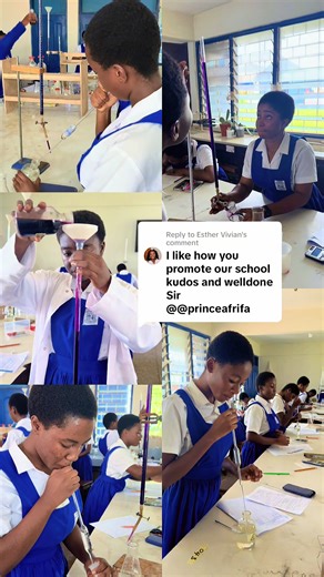 Titration Made Simple: St. Monica's SHS Success