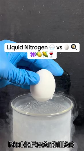 Liquid Nitrogen 🌧️ vs 🥚 🍳🫟🍋🌽🍷#Satisfying #Science #Experiment #LiquidNitrogen #NitrogenVS