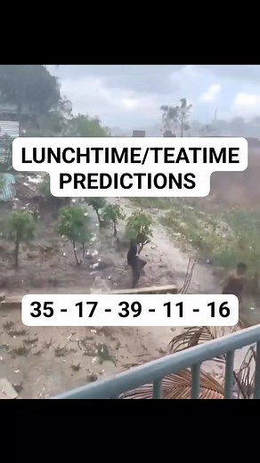 60K views · 388 reactions | Early PREDICTIONS  #bingo #uk49 | Predictions and luck | Facebook