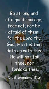 Bible Verses on Protection! #protection #bible #bibleverseoftheday #dailybibleverse #bibleverse #dailybibleverses #biblestudy | WOMAN and Purpose