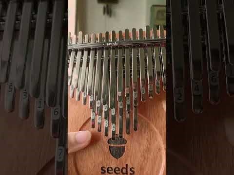Thumb Piano Seeds Chromatic kalimba 41 Keys by Gokalimba.net #shortsfeed #music #kalimbaunboxing