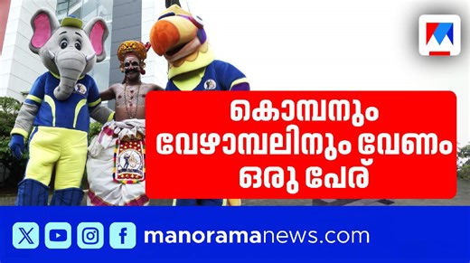 കുട്ടിക്കൊമ്പനും വേഴാമ്പലിനും പേരിടൂ ; ഒരുപേരിന് 15,000 രൂപ സമ്മാനം