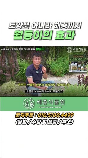 토양뿐 아니라 해충까지 월등이의 효과 #병해충 #정원 #식물
