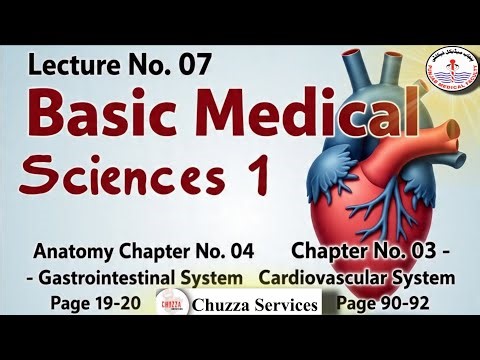 Lecture 07 | Basic Medical Sciences 1 | Gastrointestinal System + Cardiovascular System | Notes PDF