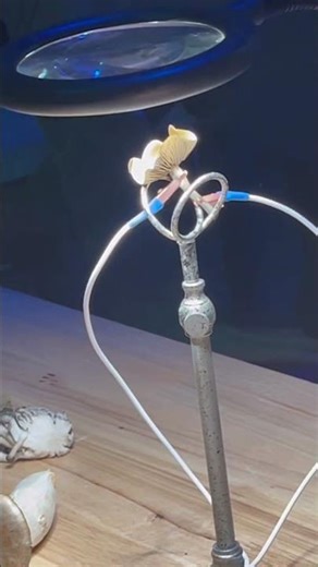 Does each mushroom have its own unique sound?