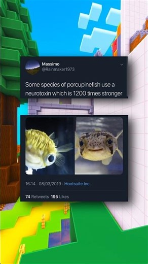 Funniest Fish Memes!