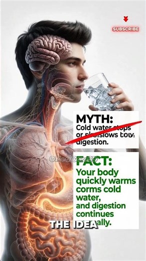 Is Drinking Cold Water Actually Dangerous? 🧊⚠️ #healthtips #humanbody #sciencefacts