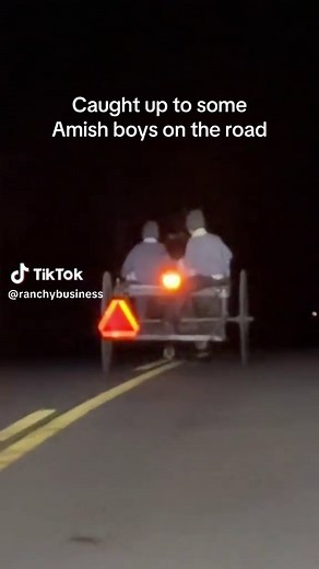 Amish auction prep was going on after dark recently. These guys were headed home. #amish #amishtiktok #amishlife #horse
