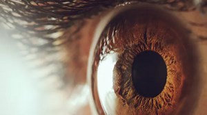 Artificial cornea breakthrough could lead to self-assembling organs