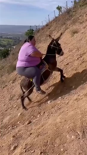 Exploring the Magic of Balli Bot: The Future of AI Technology