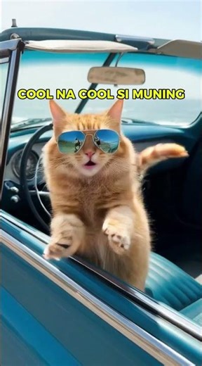 Chillin’ sa bintana #CoolCatVibes #BiyaheMode #WindowKing #PusaSwag