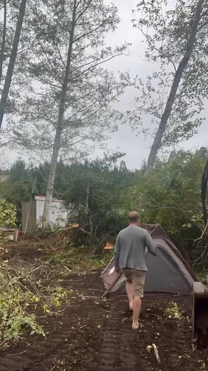 Oak And Stone Tree Care on Reels | Facebook