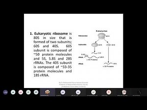 RNA structure, function and transcription