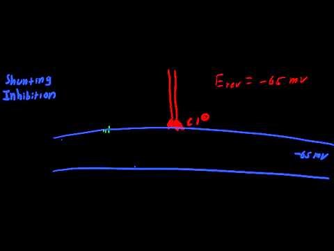 Shunting Inhibition