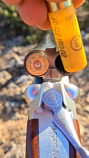 The moment of starting the hunt with a double-barreled shotgun. #hunting #avcılık #sidebysideshotgun