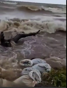 25K views · 436 reactions | As Tropical Storm Julia contiues on its projected path along Guatemala's Pacific coast, a resident in Monkey River Village captured this video clip of sea condition along the coast of the village. The strong waves and increased water level are causing further damage to coastal properties already affected by erosion. | News 5 Live | Facebook