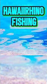 What Happens in an OAMA Pile 🎣👀😮 #fishing #fishcam #fishinghawaii