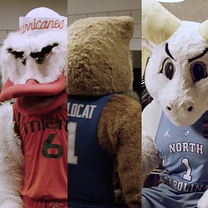 315K views · 800 reactions | The #NCAA Mascots from our commercial are taking over our Instagram Story! Watch as they react to the thrill of victory and the agony of defeat. We may have a few treats for you along the way (hint hint). #LGInstaView #LGSideKick | LG Global | Facebook