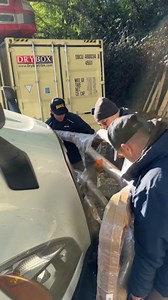 Front Grille Deer Moose Brush Bumper Guard Ex-Guard for Peterbilt 386 - Peterbilt Truck Accessories - Plus Logo, 4X 6 LED Lights, Wipers, Bracket, License Plate Holder and Frame, Vest