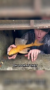 Giant Albino Pleco Catch! | Bass Fishing Productions