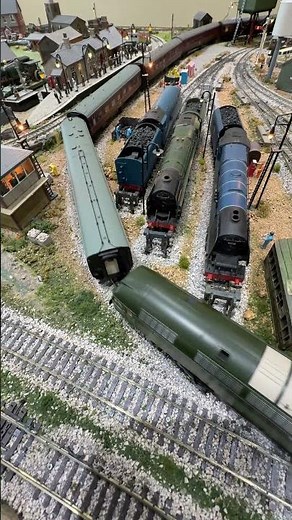Class 47 pulling 9 coaches past the steam engines.