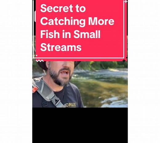 FlyFishing on TikTok