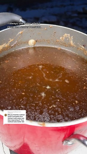 Replying to @almaztheprince Cleaning beeswax #fyp #foryou #beekeeper #bees #beetok #beehive #beeswax #nature #pollen #propolis #honey