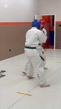 Küzdelem Alapjai-technikai gyakorlás 1.rész #eddigtanultak #oktatás #oktatóvideó #kezdőkarate