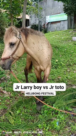 Jr toto vs jr Larry boy HELUBONG FESTIVAL 2025 Lake sebu south cotabato Bakbakan na. #everyoneシ゚ #bunosesearnings #everyonefollowers #PalarongPambansa2025 #follower #contentcreator @highlight | Jojo Manuel