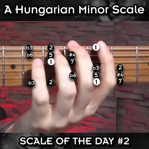 Did you ever try the awesome Hungarian Minor scale? 🤔 #guitarcentral #guitarsarebetter #guitarist #guitar #guitarddiction #guitartok #bernth