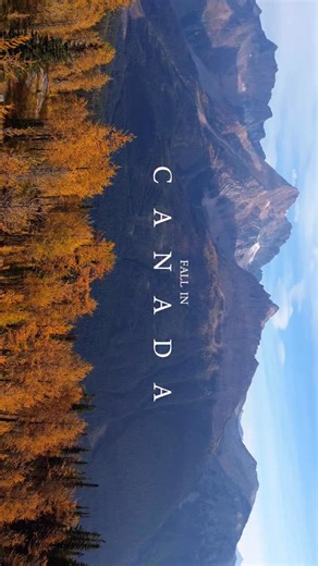 fall in Canada deserves to be seen horizontally 😍 . . . . . Canada hiking , British Columbia , hiking in Canada , Alberta hiking , larch hikes, larch madness , things to do in the fall , things to do in Canada , Canada landscapes | Hikersledge