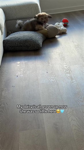 Christina (@cmmarchionee)’s videos with original sound - Christina