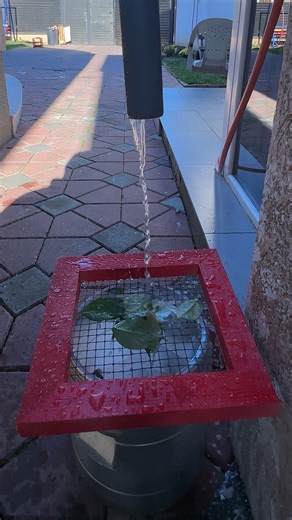 45K views · 38 reactions | DIY gutter filter hack you need | Genius Club | Facebook